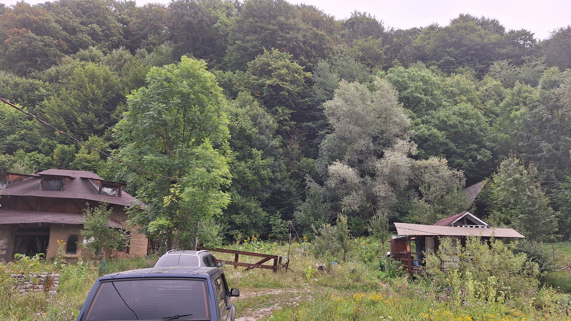 VANZARE ANSAMBLU CASUTE BRADULET ARGES - Poză 10