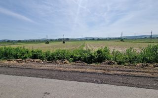 Teren pentru constructii industriale pe soseaua de centura - Poză 3