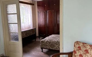 Vanzare casa cu teren, Stefanesti, Goleasca - Poză 2