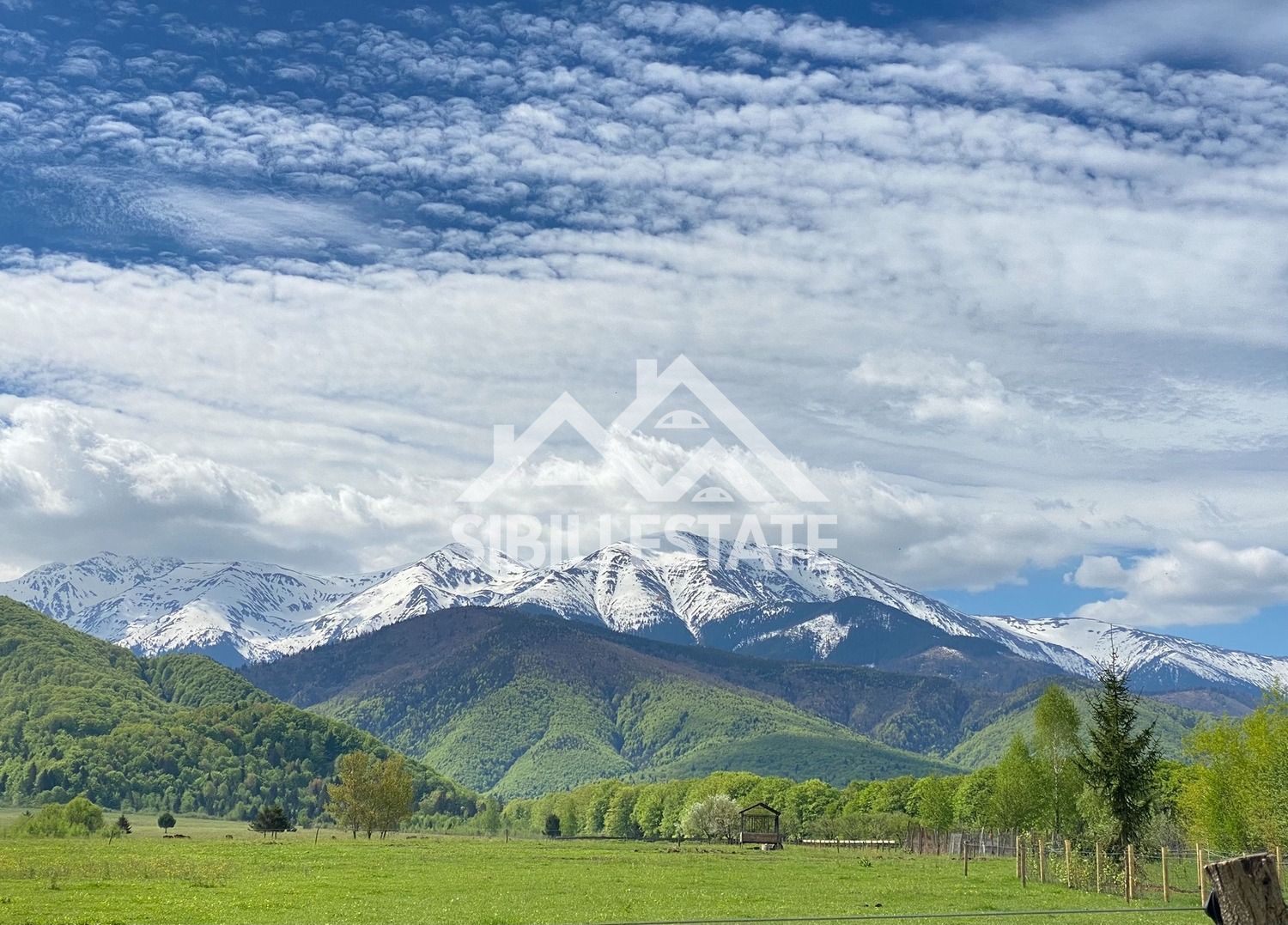 Oferta Limitata! Teren 4000mp V Avrigului 18e/mp - Poză 1