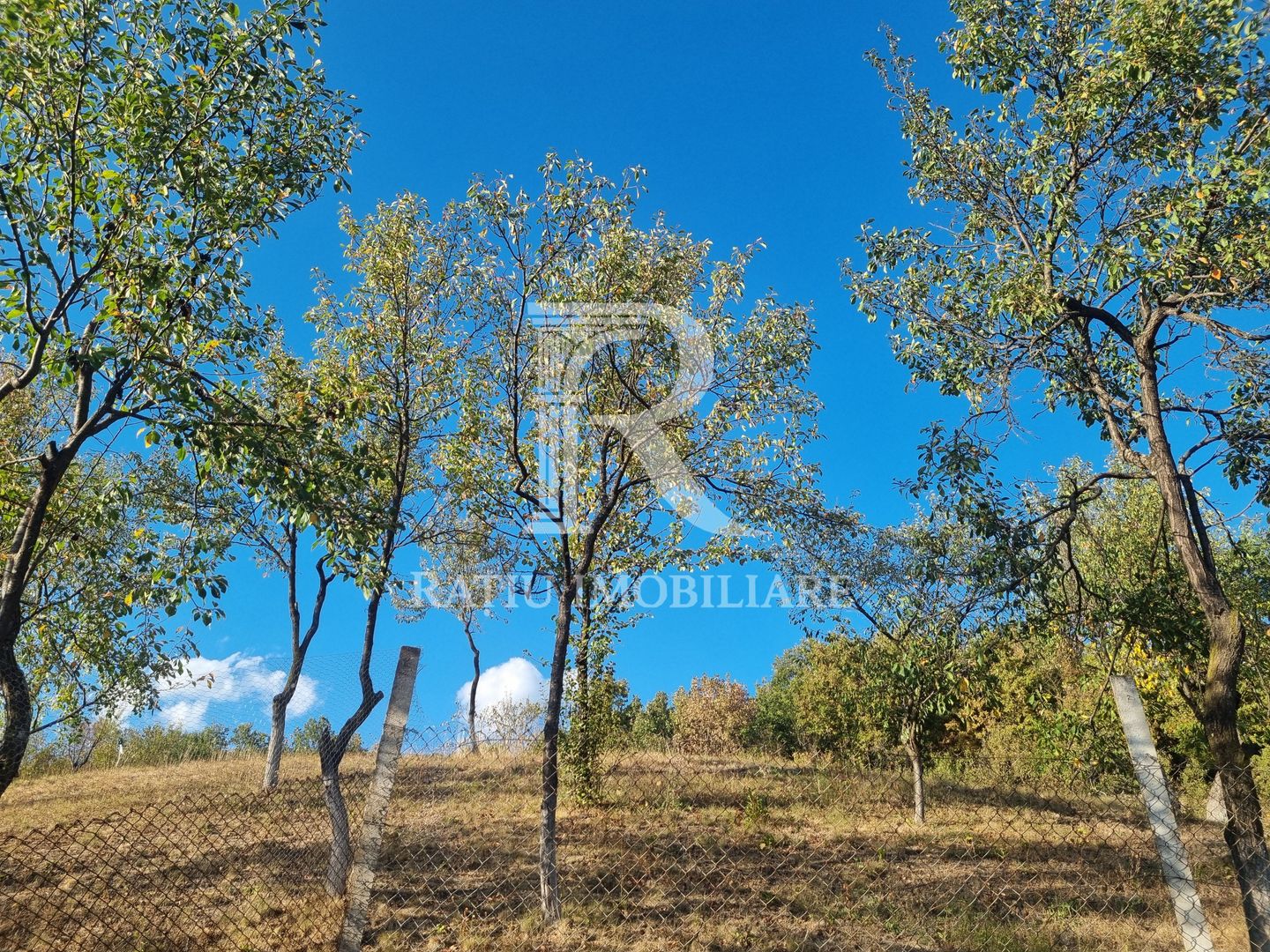 Casă renovata cu teren generos | Anexe | Gurasada | Hunedoara - Poză 44