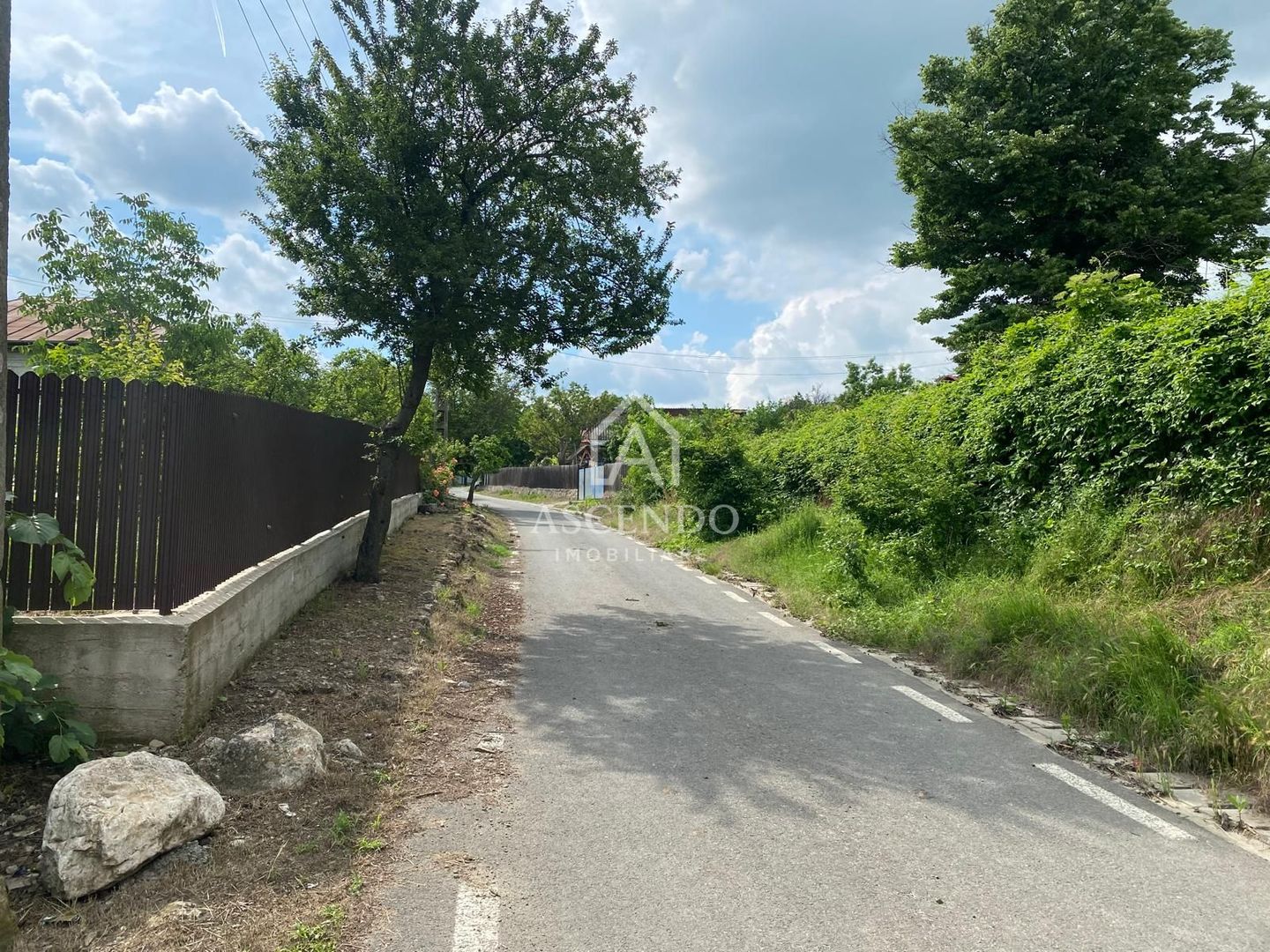 Domeniu 15.900 mp în Fințești | Casă + Investiție Dealu Mare - Poză 23