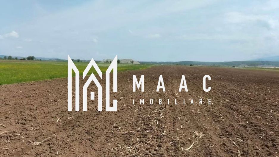 Teren | Extravilan | Oportunitate Investiție | 10 000 MP | Bradu - Poză 1