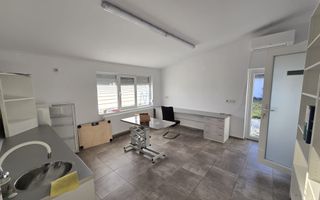 Casa de inchiriat in Vladimirescu (pretabil pentru Birou,Cabinet etc.) - Poză 18