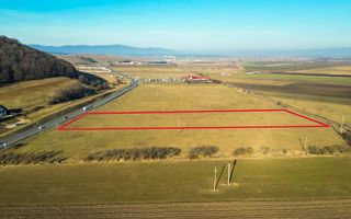 16.000 mp, teren intravilan, construibil, conditii apreciabile, Codlea Brasov - Poză 2