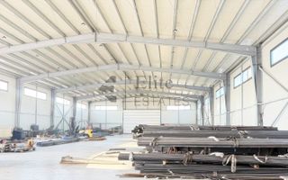 Hala de inchiriat 600 mp, Calea Aradului cu acces DN - Poză 1