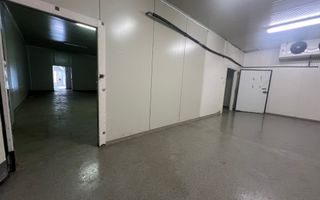 De inchiriat Camere Frigo Congelare/Refrigerare-Suprafete de la 50mp - Poză 2