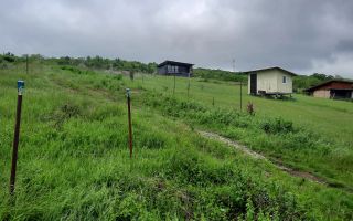 🌳TEREN INTRAVILAN CHIPEREȘTI 440 MP - 12.000 EURO 🏡 - Poză 8
