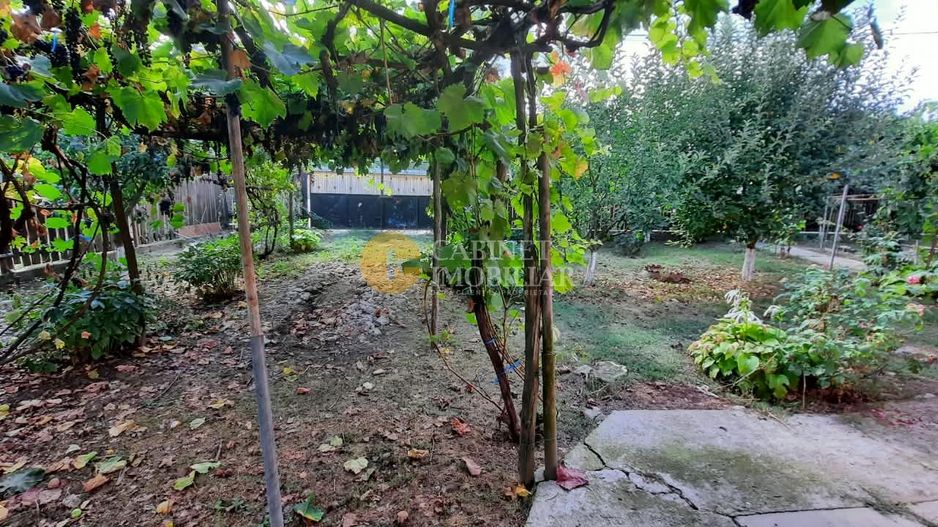 🏡 CASĂ BĂTRÂNEASCĂ LOCUIBILĂ DE VÂNZARE – TRIFEȘTI, IAȘI 🏡 - Poză 8