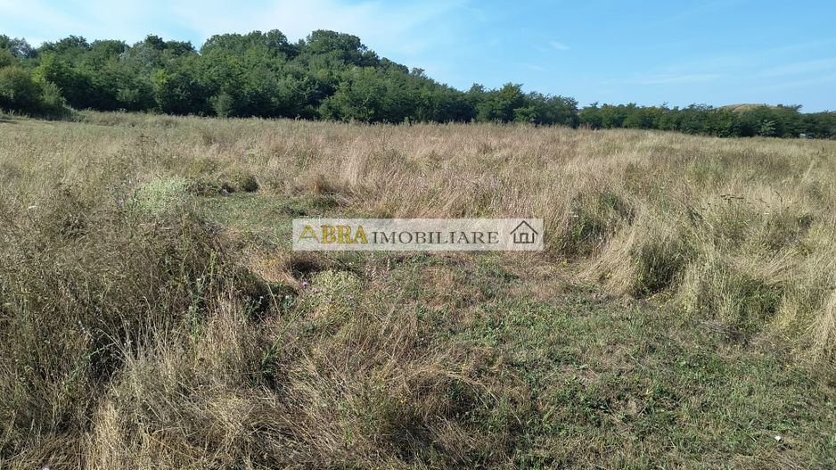 Teren intravilan investitie turism balnear fonduri europene - Poză 5