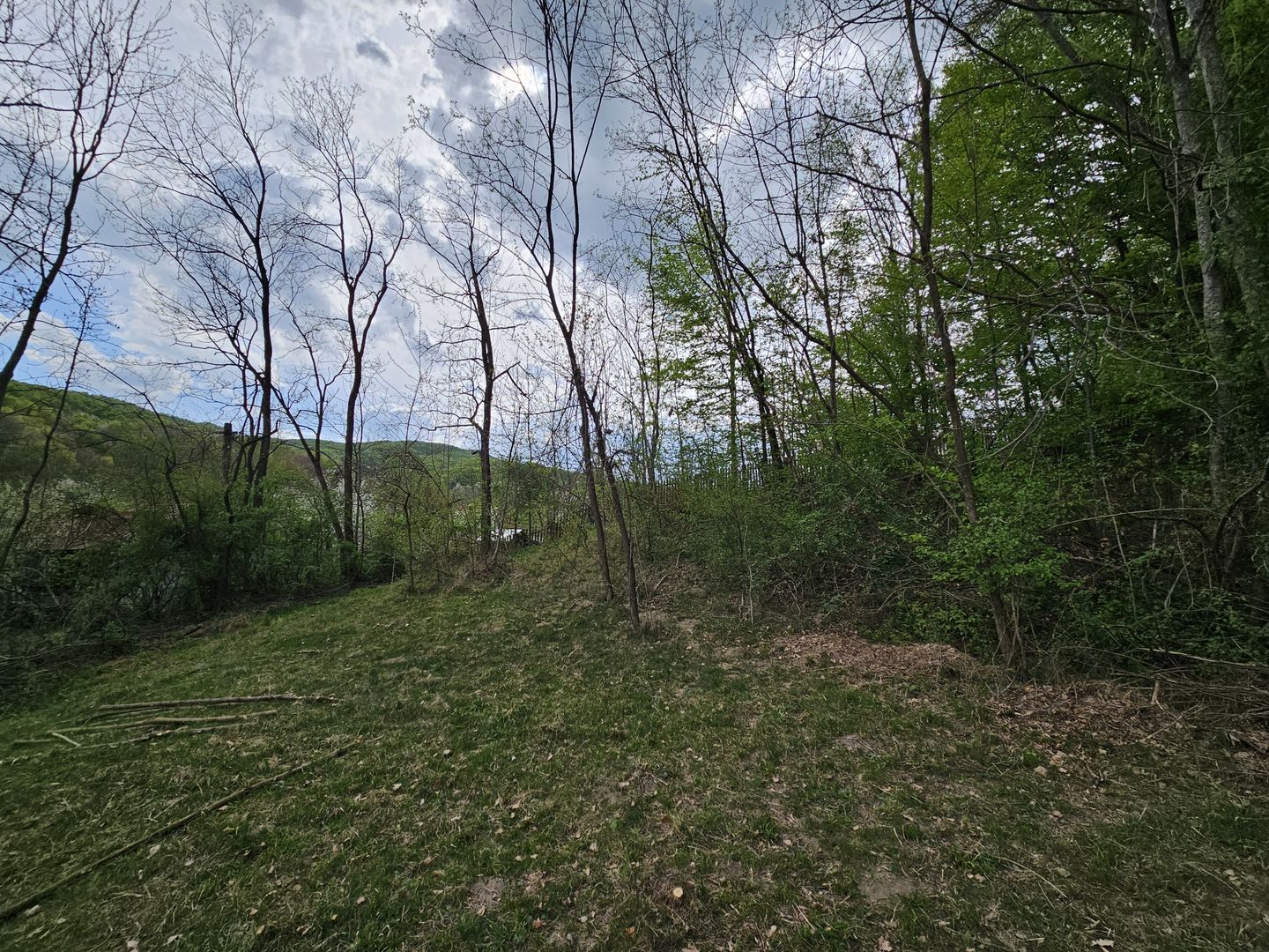 Teren intravilan 1454 mp la marginea padurii zona locuita de case! - Poză 13