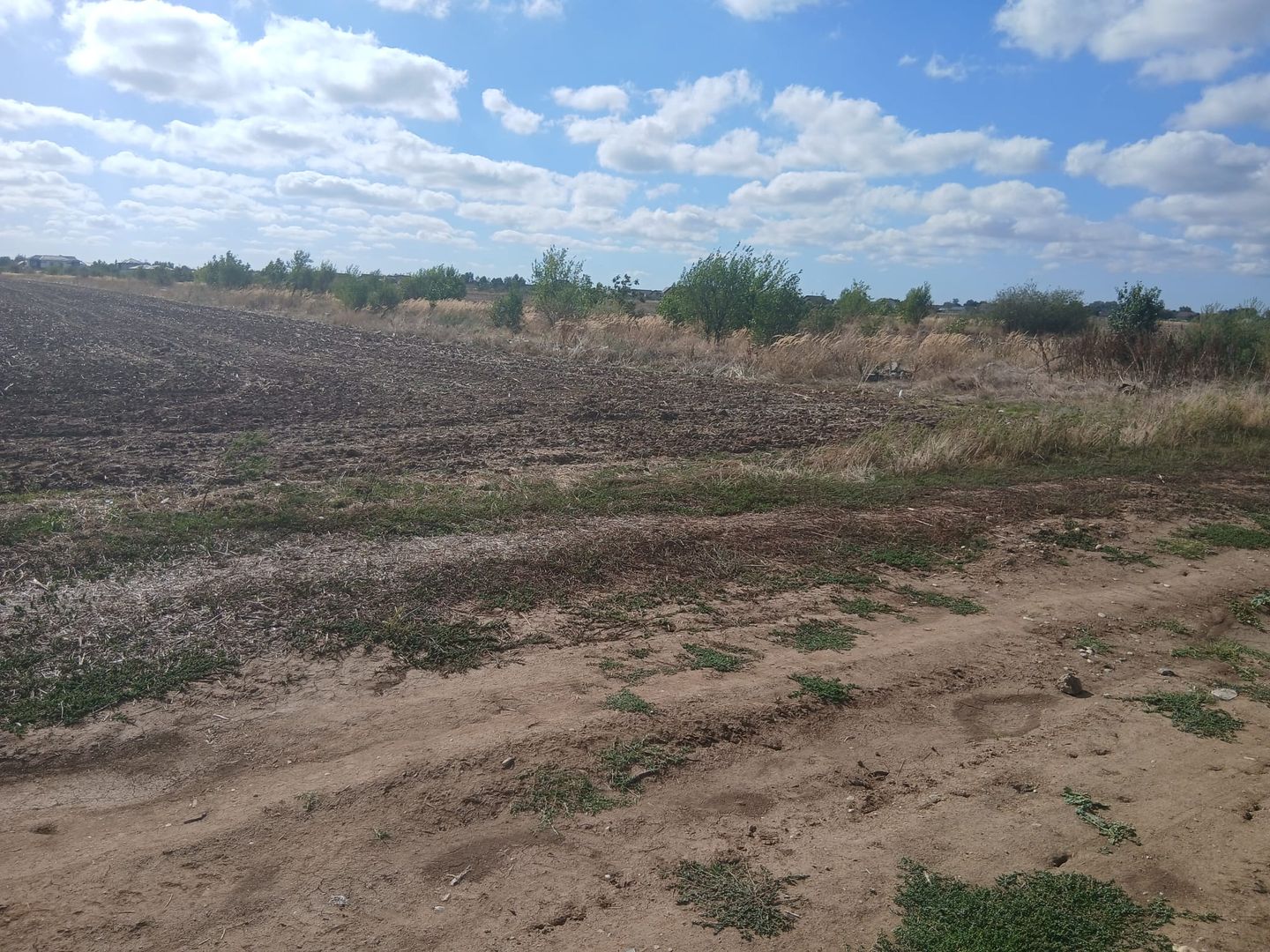 Teren de vanzare 4500mp Strada Rasaritului Darvari Ciorogarla A0 - Poză 2