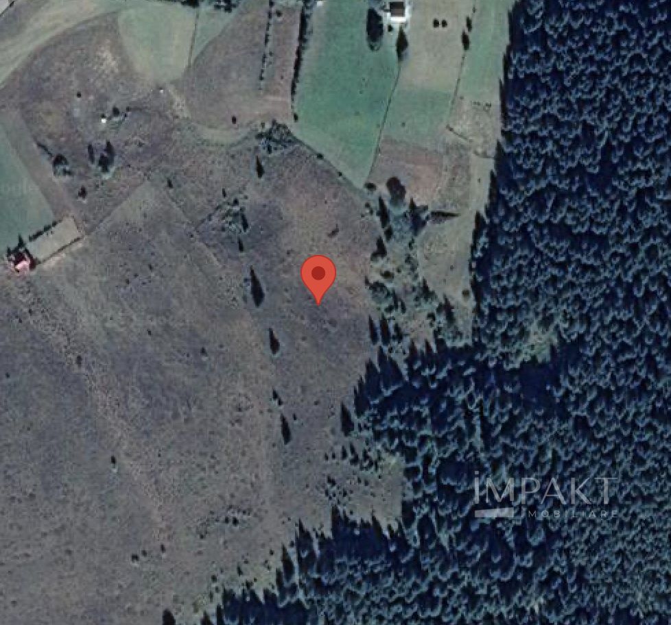 Teren intravilan 9000 mp, la 5 minute de lacul Belis! - Poză 2