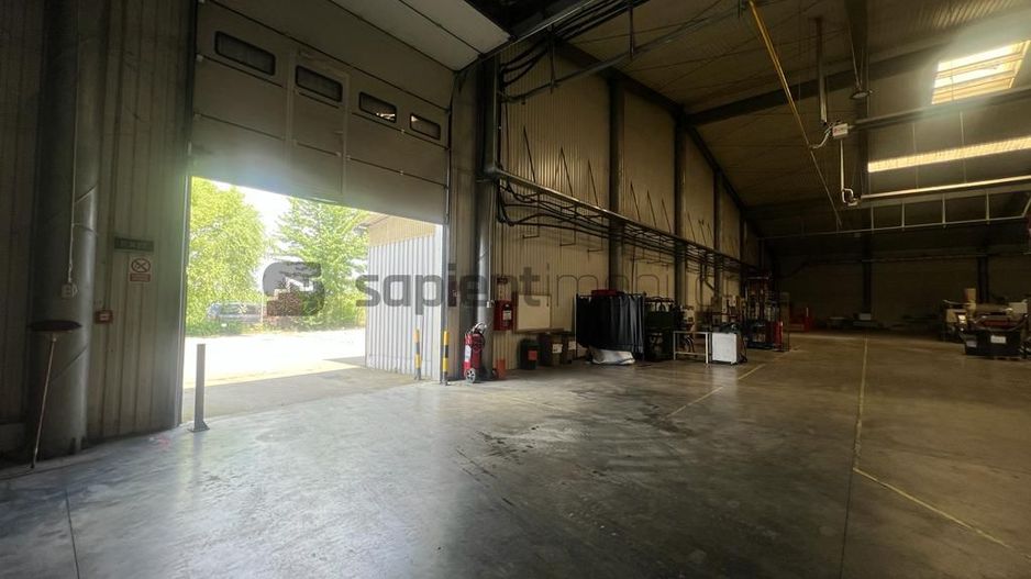 Sapient | Spațiu industrial _ zona Calea Borșului - Poză 7