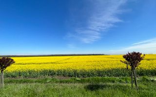 Teren 3H Makita Branesti deschidere 30 mp - Poză 3