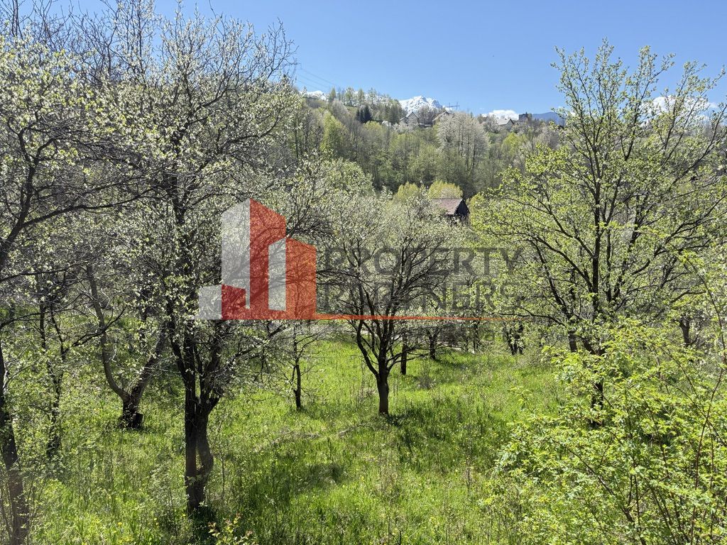 Teren 2500 mp Sohodol - Poză 17