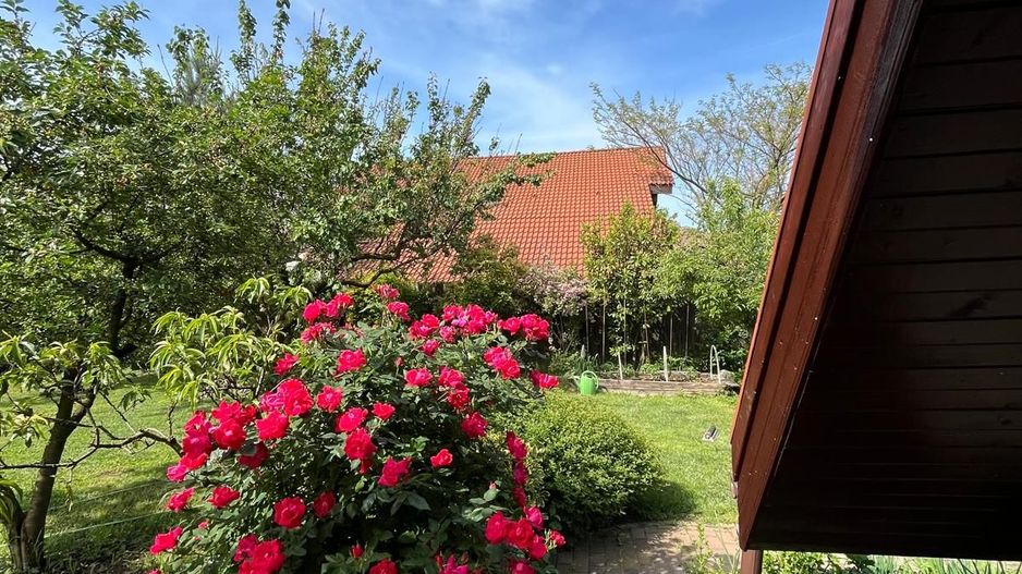 Casă elegantă, spațioasă, ideală pentru familie – Sanmihaiu Roman - Poză 26