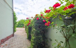 De vânzare – Proprietate comercială tip Restaurant & Salon Evenimente - Poză 32