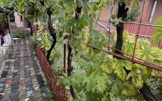 Casa cu 5 camere in zona D. Filipescu Posta teren 400mp Pret: 110.000 neg. - Poză 7