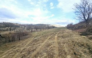 Teren intravilan de vanzare, Geogiu de Sus - Poză 1