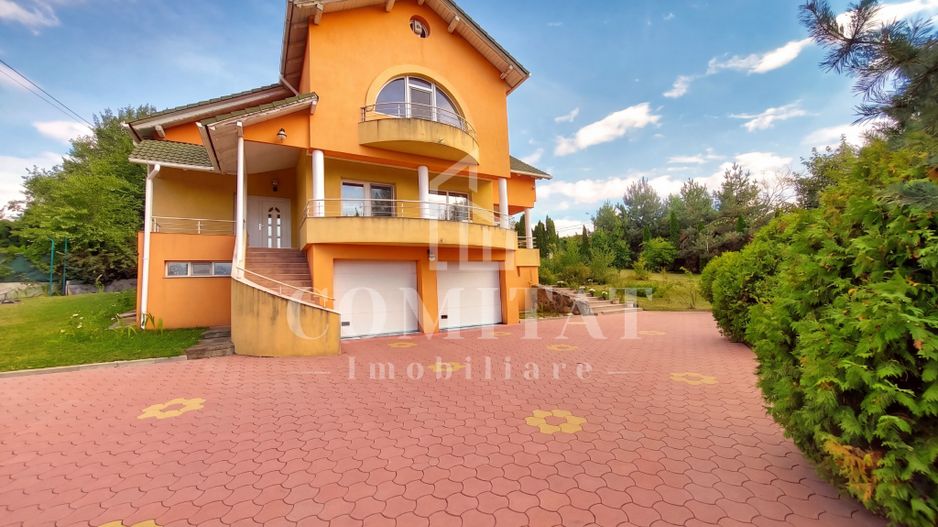 Vilă în Făget | Sediu companie | 2.412 mp teren 8 parcări - Poză 1