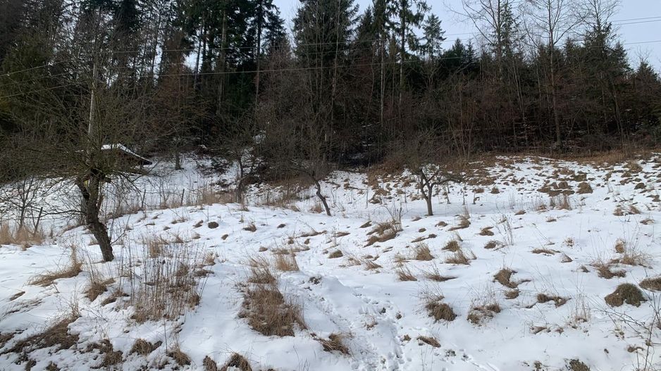 Casă P+E+M Putna | 300 mp utili | Teren 2.200 m - Poză 5