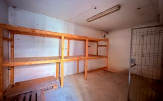 Spațiu comercial de închiriat – fostul Cotton Sibiu - Poză 19