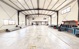 Hala industrială închirere – Vladimirescu, jud. Arad 500 mp - Poză 1
