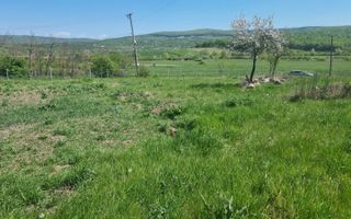 Teren de 1000 mp în Comuna Ciurea, Iași – Oportunitate de Investiție - Poză 6