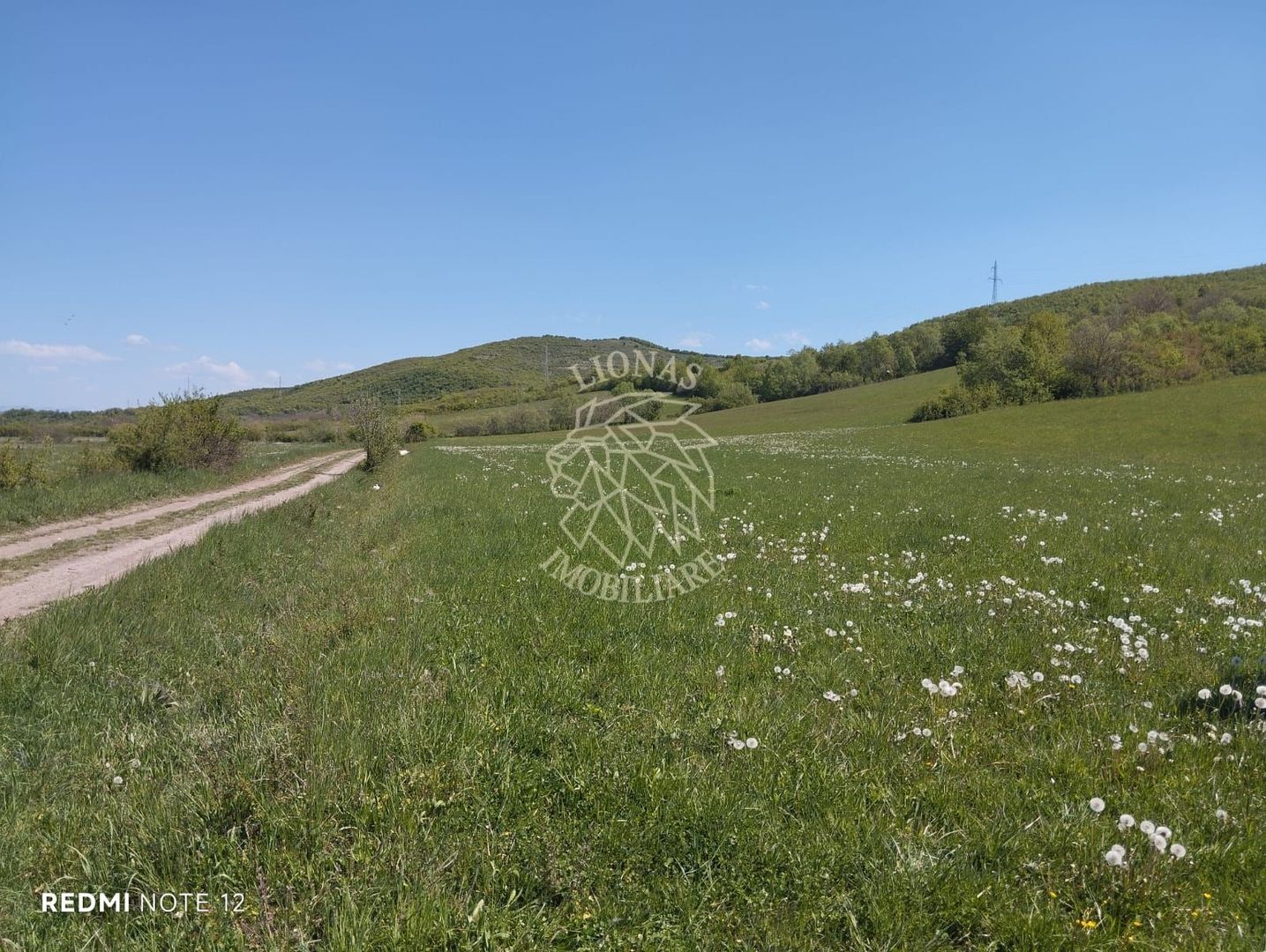 Teren 5400 mp-limita intravilan-2 deschideri-Sarata - Poză 1