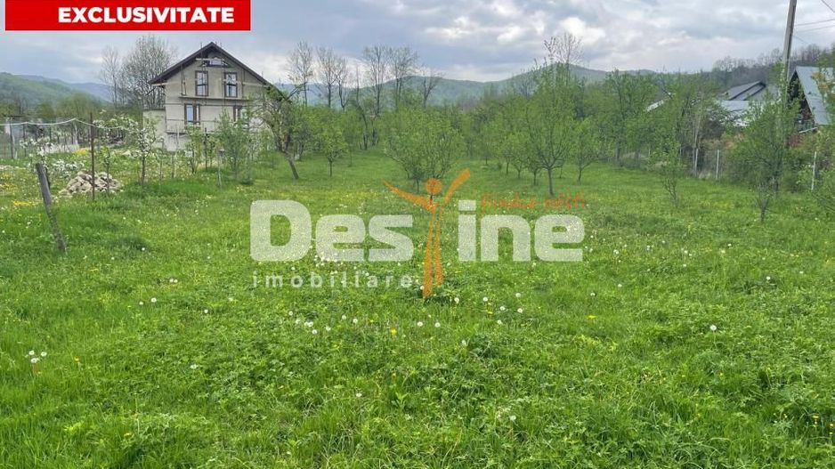 Teren Intravilan 12500 mp Drajna de Sus - Teisani. - Poză 1