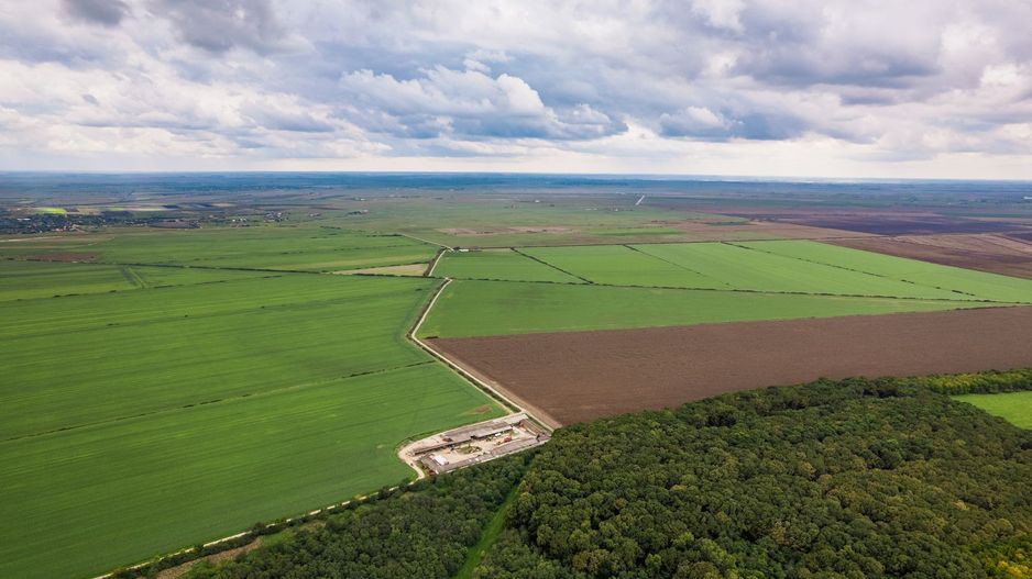 Teren 1584 Hectare pe lunca Mureșului - Poză 3