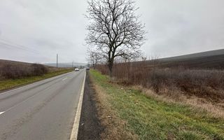 Teren 13.780 mp, Apahida, Cluj - Ideal pentru Investiție - Poză 4