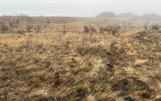 COMISION 0% Teren 623mp Cluj-extravilan / Iesire spre Padureni - Poză 7