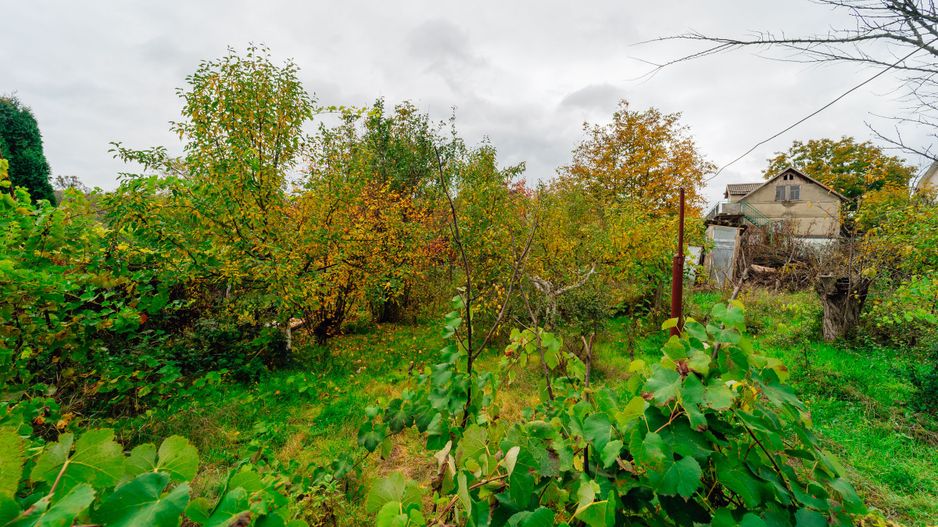 Lot pomicol de 6 ari în Ialoveni, cu construcție auxiliară. - Poză 16