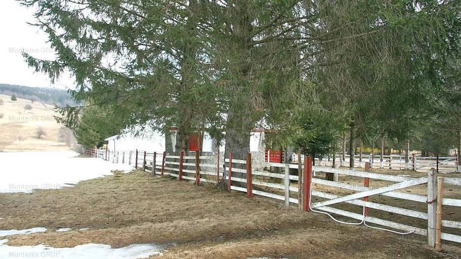 VALEA DOFTANEI - Traisteni, langa Conacul Dascalu, vanzare 2.537 mp. teren - Poză 14