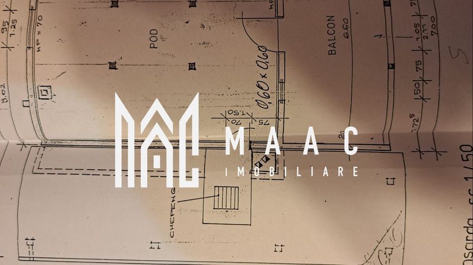 Paradis pe Transalpina in Sugag - Poză 6