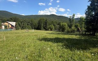 Teren intravilan 1662 mp pozitie superba-Calea Brasovului Valea Neagra - Poză 10