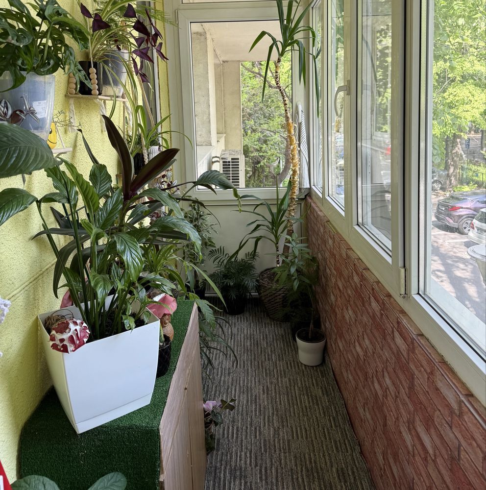 Apartament superb 2 camere Mihalache, mobilat, balcon, loc de parcare. - Poză 6