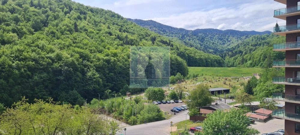 Apartament 2 camere mobilat/utilat - zona Racadau / Tampa Gardens - Poză 8