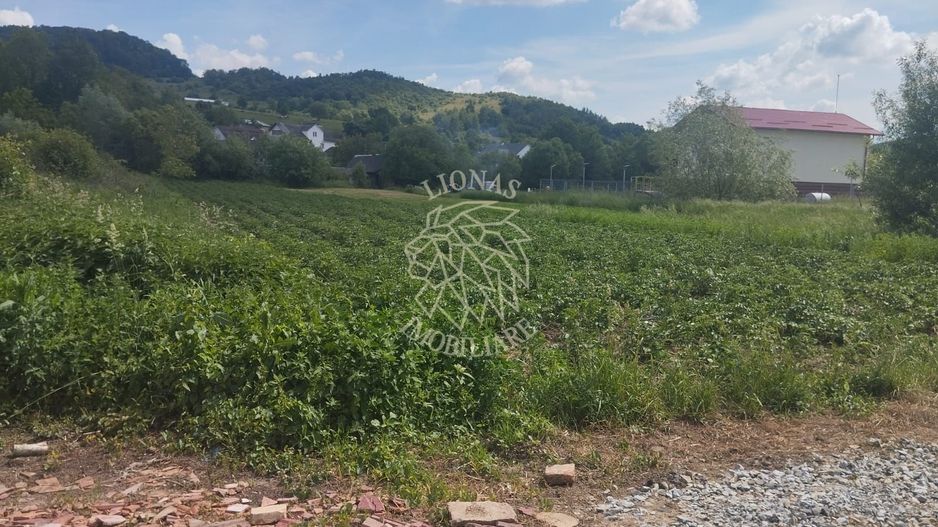Teren 5832 mp-ideal lac, investitie, cabana, gradina-Slatinita - Poză 4