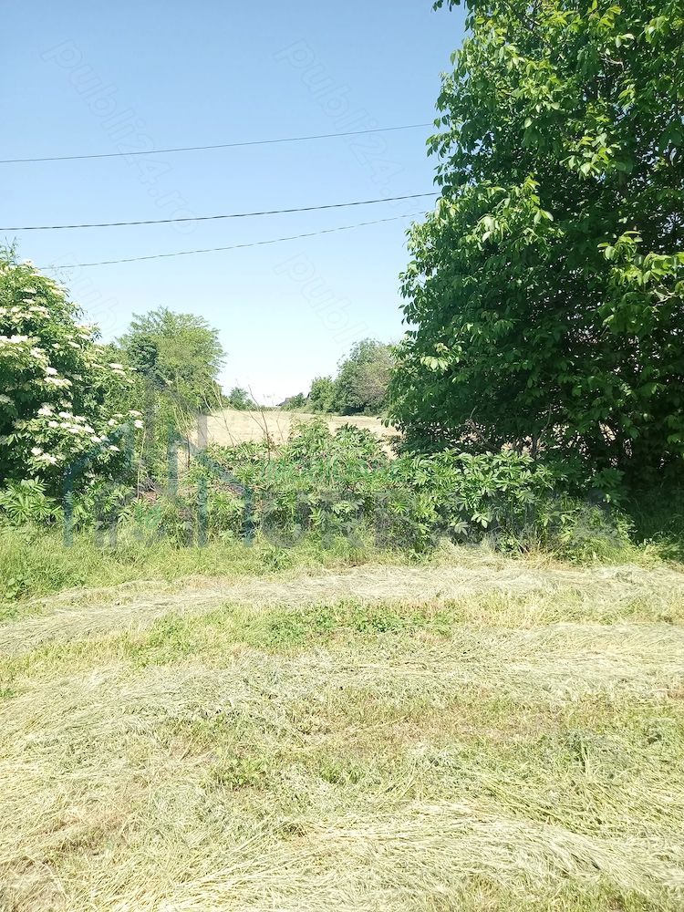 Teren intravilan 11.000 mp și casă 200 mp – Târgu Frumos - Poză 3