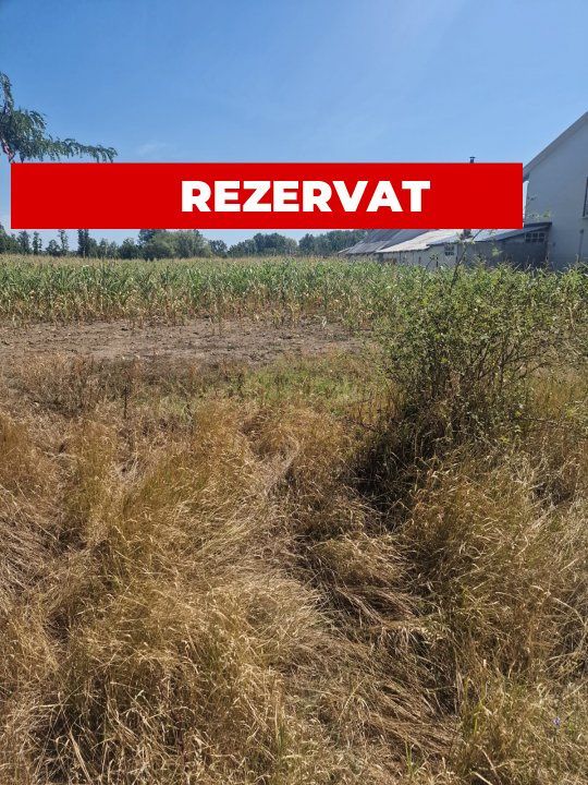 Teren Mosoaia, Lazaresti! - Poză 1
