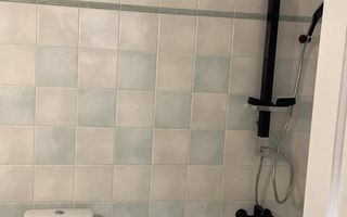 Vila Iancu Nicolae - Poză 17