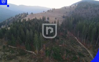 Teren situat in Frasin | BUCOVINA - Poză 5