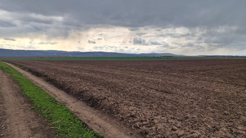 Teren 10,000mp Bacau / Strada Alexandru Safran - Poză 15