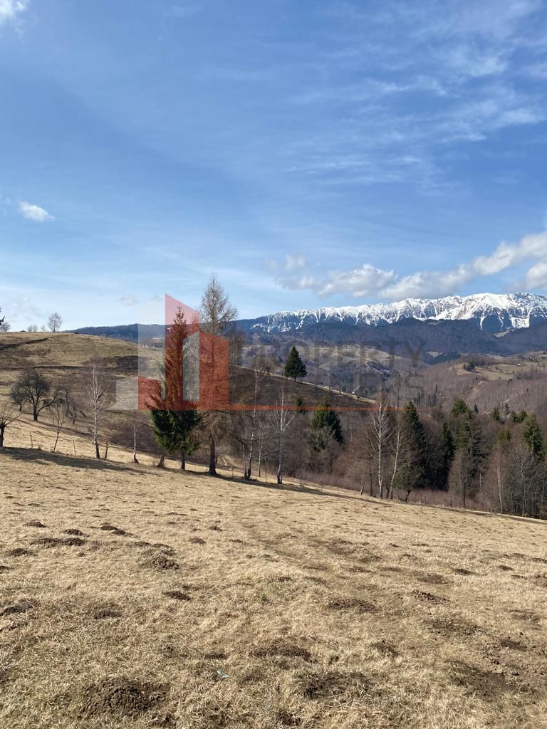 Teren Drumul Carului Moieciu - Poză 8