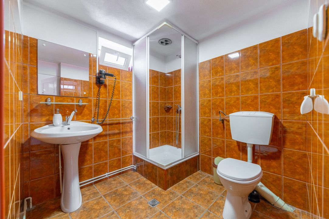 Casa + Pensiune deosebita - Orlat, Sibiu - Poză 35