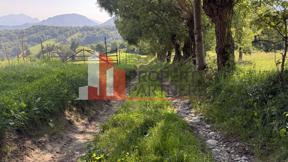 Teren Sohodol 5000 mp - Poză 3