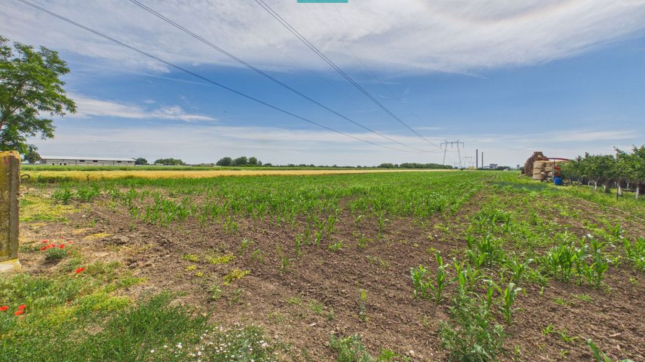 Teren extravilan în suprafață de 10.000 mp, Arad - Poză 5